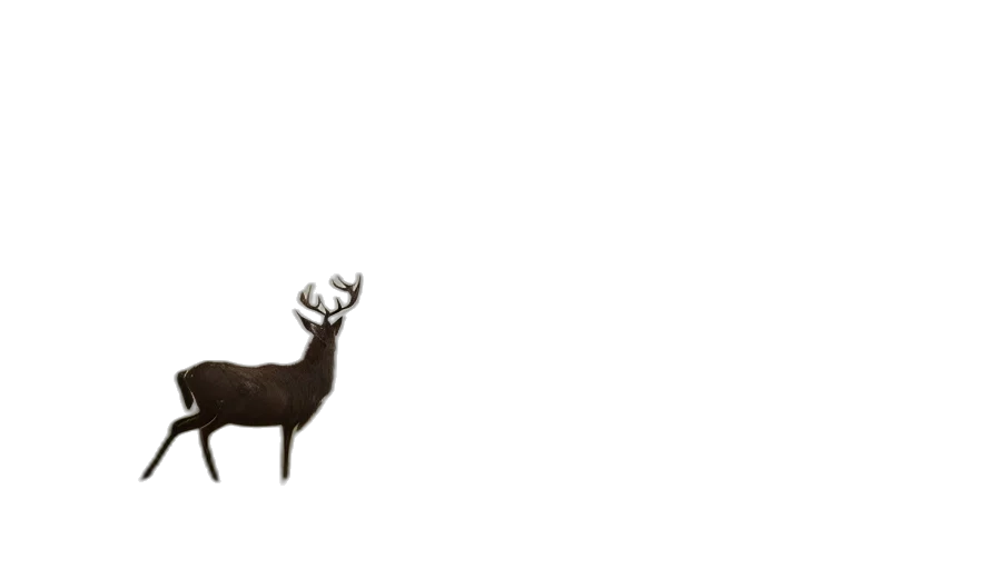 animal, creature, crown, staff transparent PNG cut-out
