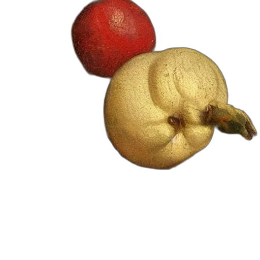 crown, food, flower, hat transparent PNG cut-out
