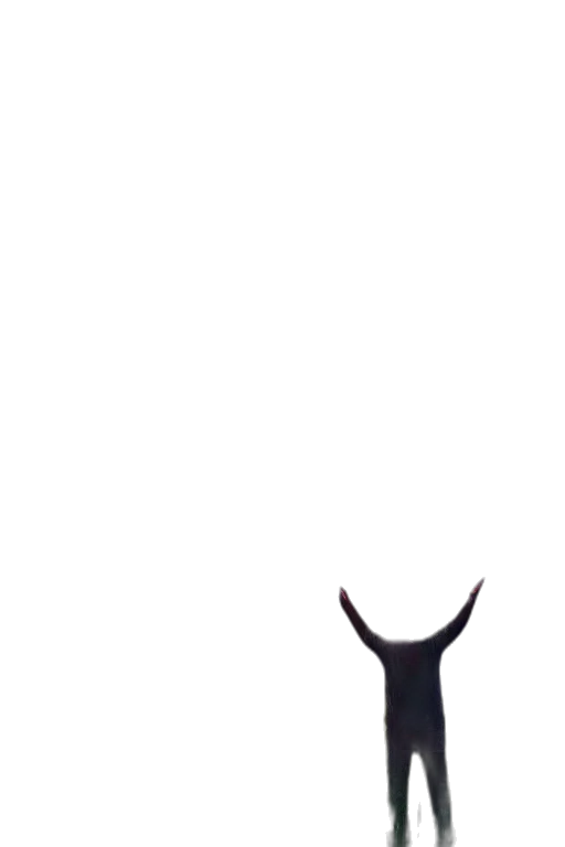 animal, mask, hat, creature, pixel art, concept art, 3d render, photorealistic transparent PNG cut-out
