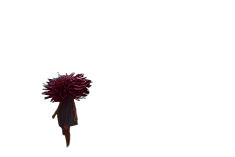 flower, hair, umbrella, hat, 3d render, concept art, photorealistic, pixel art transparent PNG cut-out