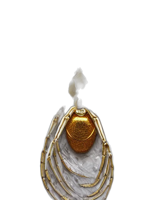 jewelry, crown, jacket, staff transparent PNG cut-out