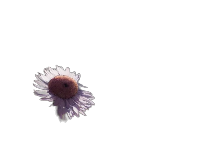 flower, hair, crown, umbrella, 3d render, photorealistic, watercolor, concept art transparent PNG cut-out