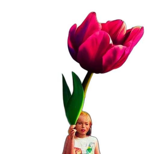 flower, crown, bottle, staff transparent PNG cut-out