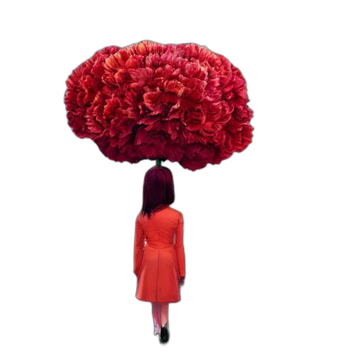 umbrella, dress, flower, crown transparent PNG cut-out