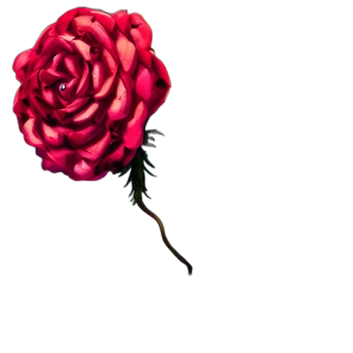 flower, crown, umbrella, hair, 3d render, pixel art, photorealistic, concept art transparent PNG cut-out