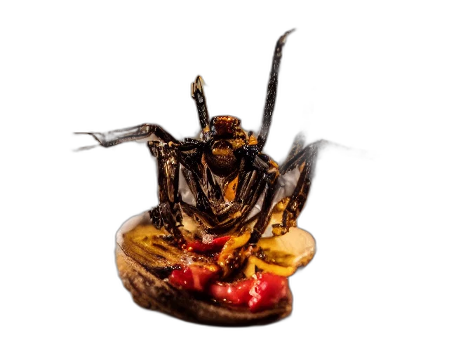 food, creature, jewelry, animal, concept art, 3d render, photorealistic, photography transparent PNG cut-out
