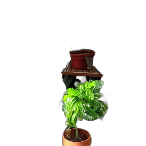 staff, crown, furniture, bottle, 3d render, photorealistic, concept art, pixel art transparent PNG cut-out