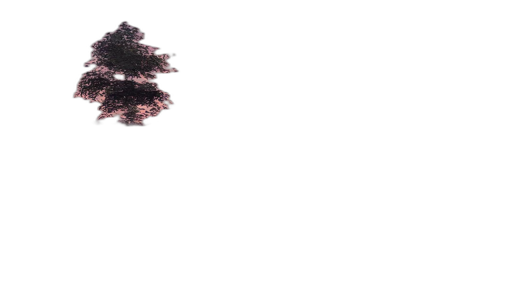 tree, hair, crown, dress transparent PNG cut-out