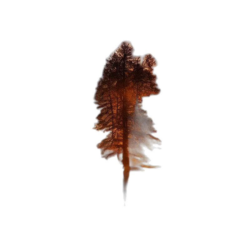 tree, hair, creature, face, concept art, photorealistic, 3d render, pixel art transparent PNG cut-out