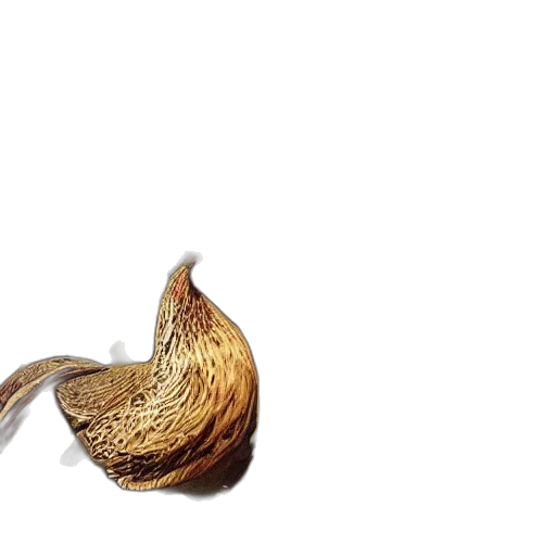 food, hair, animal, flower transparent PNG cut-out