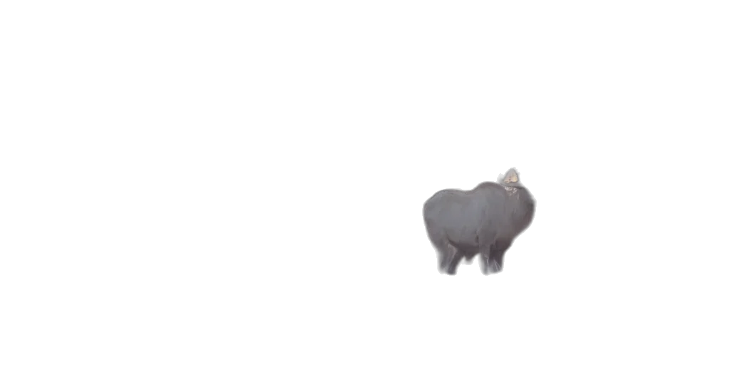 animal, creature, hat, hair transparent PNG cut-out