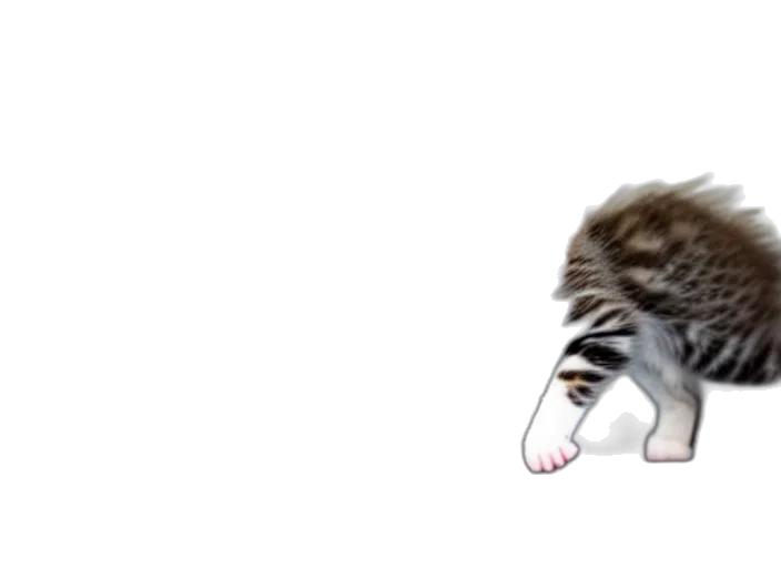 animal, creature, hair, staff transparent PNG cut-out
