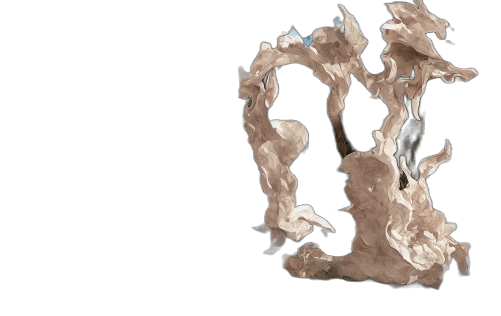 dragon, crown, mask, hair transparent PNG cut-out