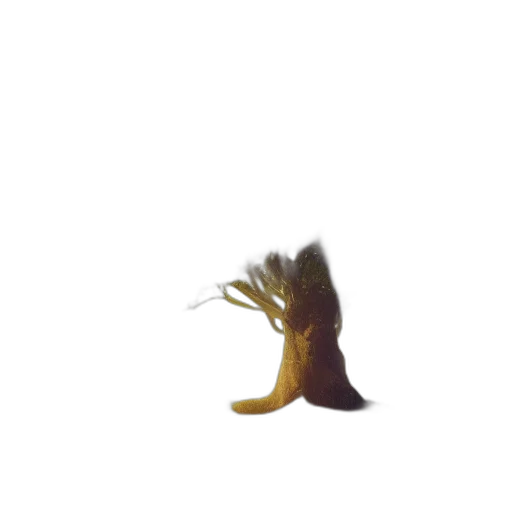 hair, creature, shoes, dragon, concept art, 3d render, fantasy art, photorealistic transparent PNG cut-out