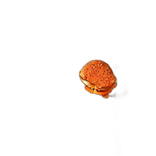 food, animal, jewelry, hat transparent PNG cut-out