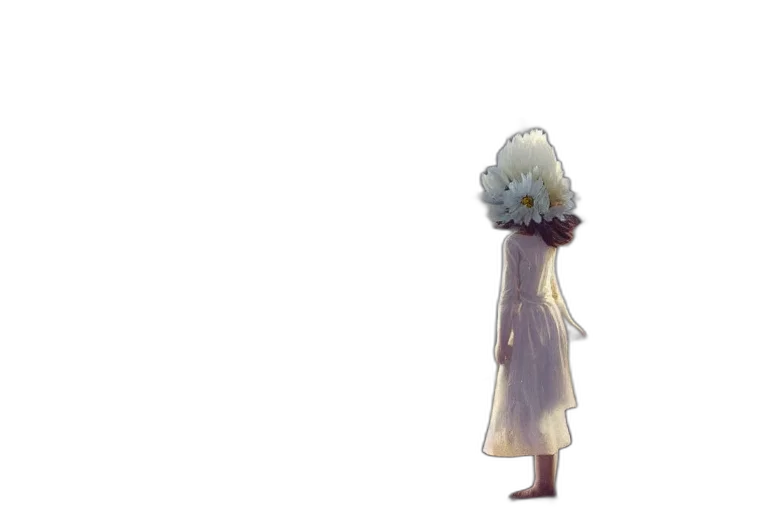 dress, crown, flower, hat, concept art, 3d render, pixel art, anime transparent PNG cut-out