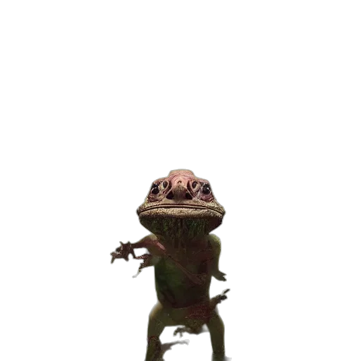 creature, animal, mask, dragon transparent PNG cut-out