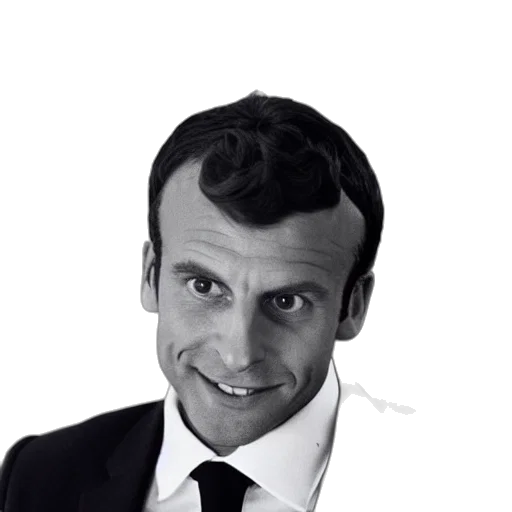 face, animal, staff, crown transparent PNG cut-out