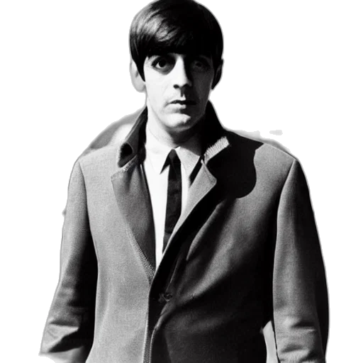 jacket, face, staff, animal, photorealistic, cartoon, beatle transparent PNG cut-out