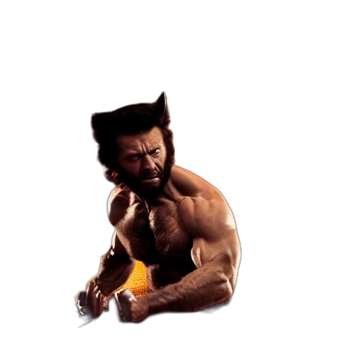 hair, sword, weapon, animal transparent PNG cut-out