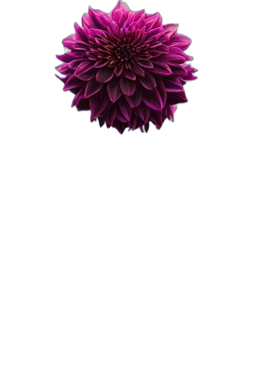 flower, crown, jewelry, umbrella, 3d render, photorealistic, pixel art, concept art transparent PNG cut-out