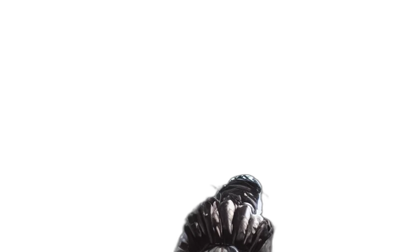 mask, creature, jacket, animal, concept art, photorealistic, comic book art, 3d render transparent PNG cut-out