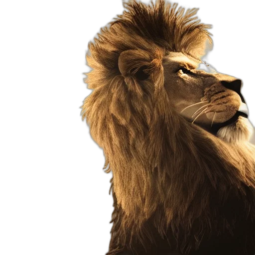 animal, hair, crown, creature transparent PNG cut-out