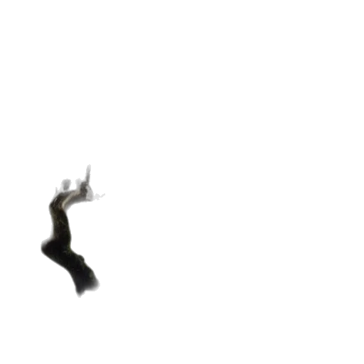 animal, shoes, dragon, hair transparent PNG cut-out
