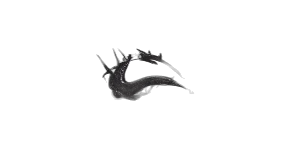 dragon, hair, mask, crown transparent PNG cut-out