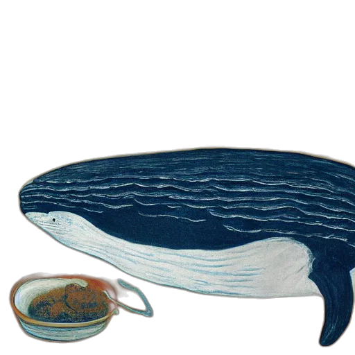 hat, food, animal, creature, underwater, blue, whale, baconing transparent PNG cut-out