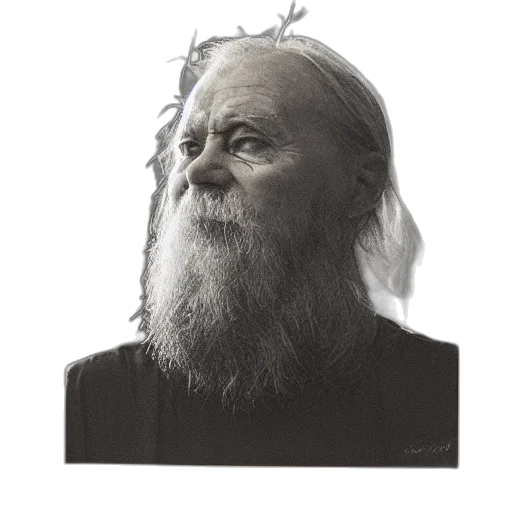 face, hair, mask, animal, photorealistic, concept art, fantasy art, 3d render transparent PNG cut-out