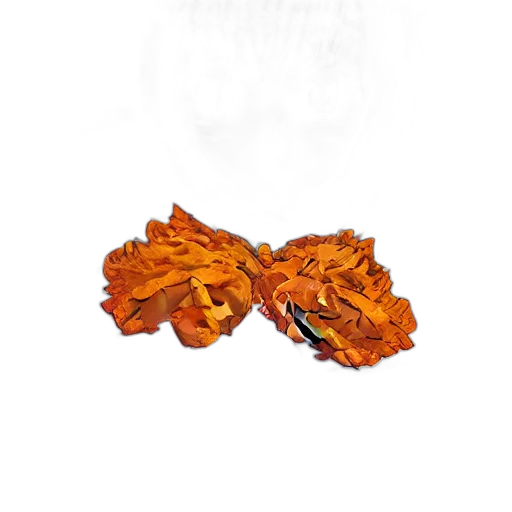 crown, food, jewelry, flower transparent PNG cut-out