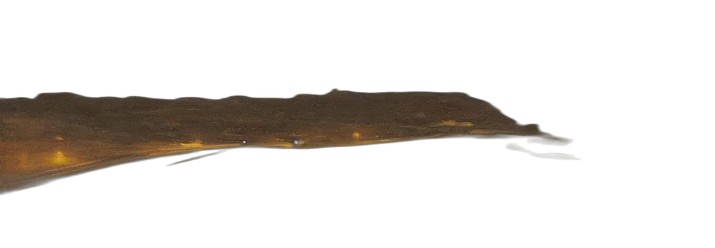sword, staff, weapon, crown transparent PNG cut-out