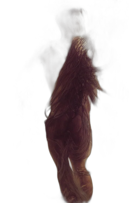 hair, animal, creature, dragon transparent PNG cut-out