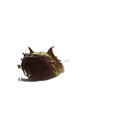 crown, animal, creature, hat, 3d render, photorealistic, concept art, never transparent PNG cut-out
