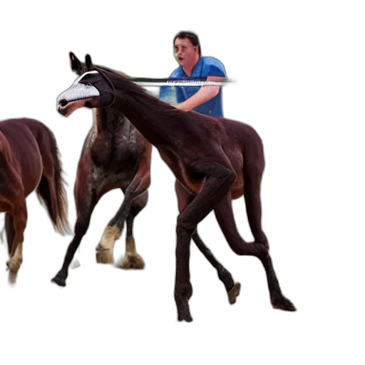 animal, creature, staff, weapon transparent PNG cut-out