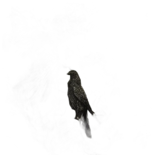 animal, creature, staff, hair transparent PNG cut-out