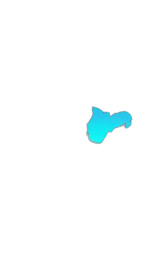 weapon, animal, staff, shoes transparent PNG cut-out
