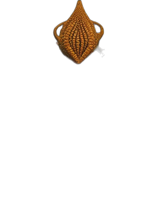 jewelry, crown, hat, mask transparent PNG cut-out