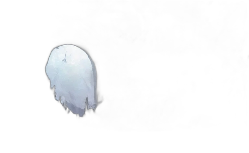 mask, crown, creature, hat transparent PNG cut-out