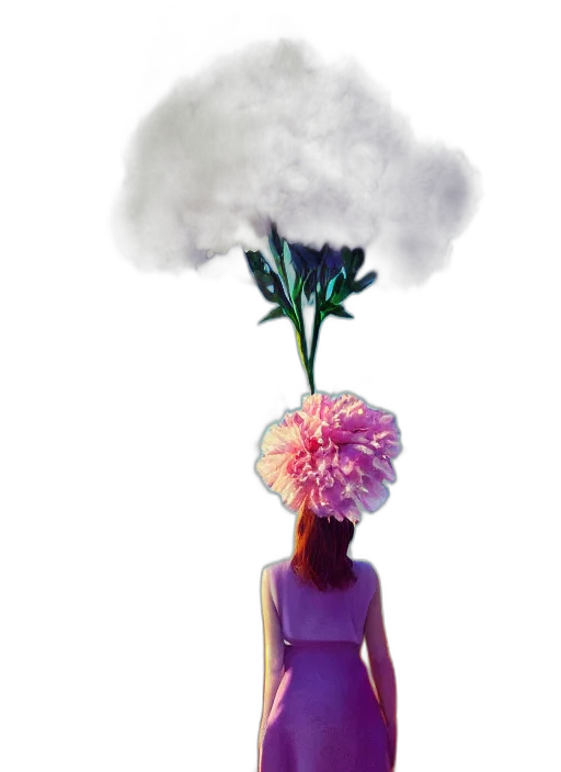 flower, crown, umbrella, hat transparent PNG cut-out