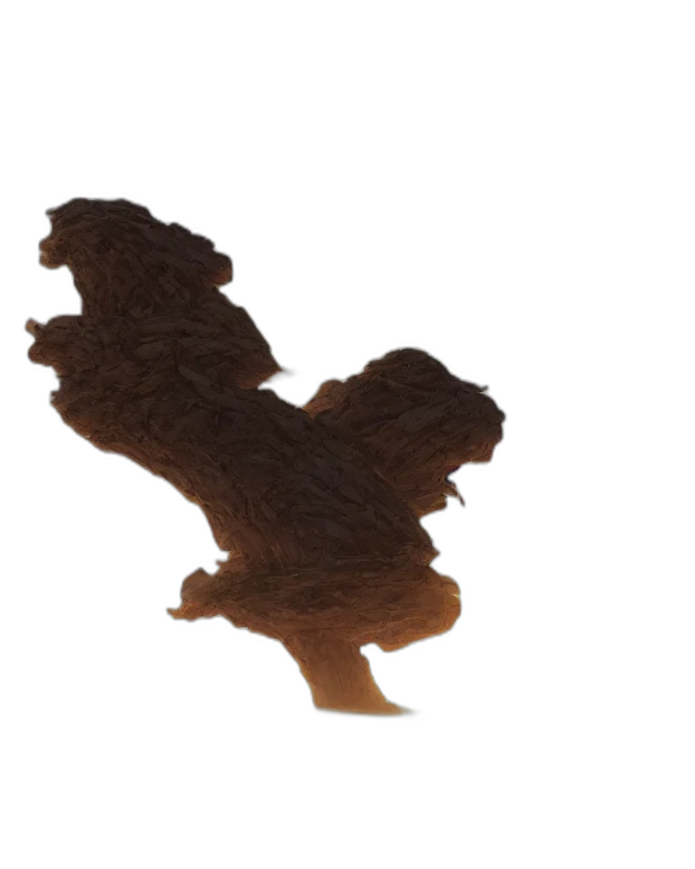 food, hair, dragon, crown, 3d render, concept art, photorealistic, fog transparent PNG cut-out