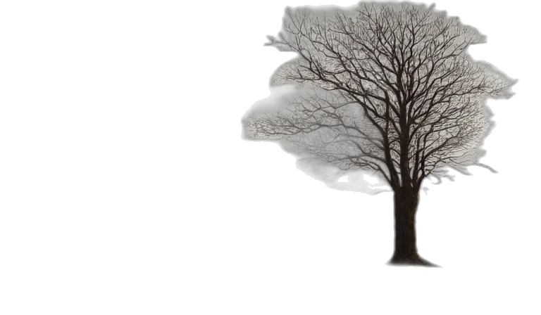 tree, hair, crown, dress transparent PNG cut-out