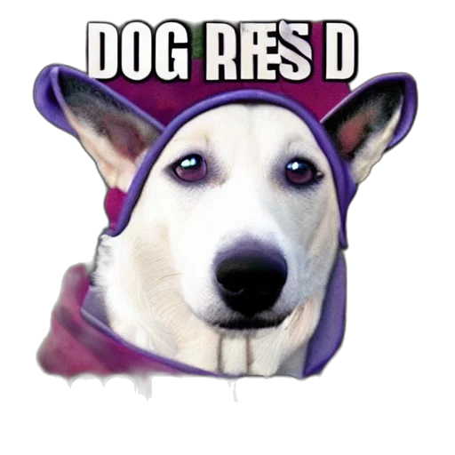 animal, hat, face, creature, 3d render, pixel art, vaporwave, photorealistic transparent PNG cut-out