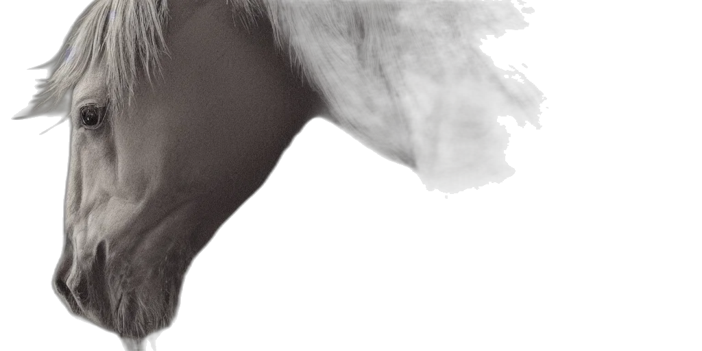 hair, face, mask, shoes transparent PNG cut-out