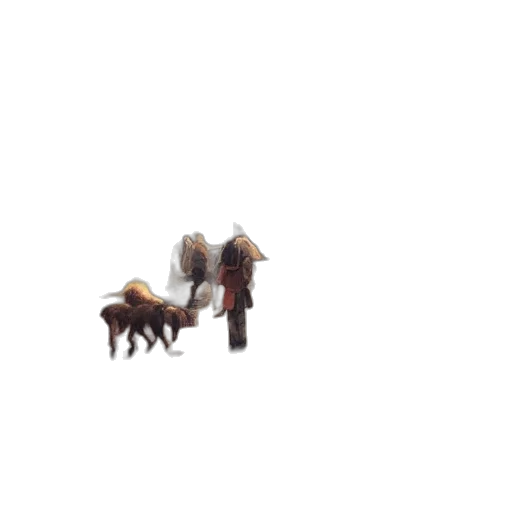 animal, creature, staff, furniture transparent PNG cut-out