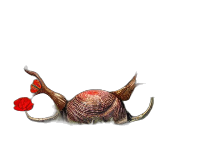 animal, creature, hat, dragon, concept art, photorealistic, watercolor, 3d render transparent PNG cut-out