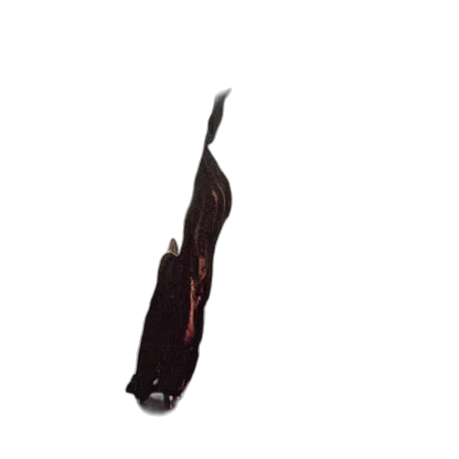 staff, sword, weapon, shoes transparent PNG cut-out