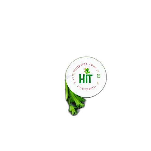 staff, hat, hair, 3d render transparent PNG cut-out