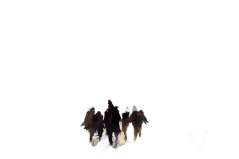 animal, hair, crown, staff transparent PNG cut-out